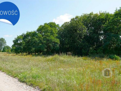 Działka nr. 108/61 przy ul. Stokrotkowej, Deszczno