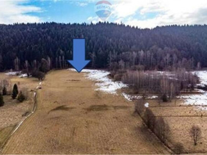 Duża 20 arów z dużym 2 HA prywatnym lasem