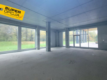 Lokal użytkowy Kraków gm. Kraków-Podgórze Prokocim,