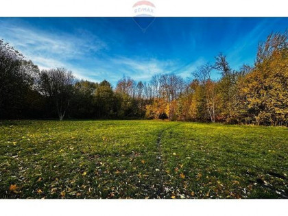 Działka 1,13 ha - 33 zł/m2