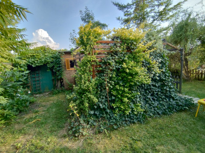 Działka ROD w Łodzi