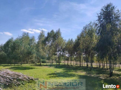 Działka budowlana – Teodorów, gm. Skórzec