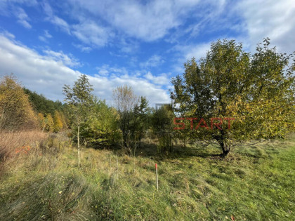 Działka rolna Bieganów gm. Jaktorów,