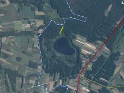 Działka leśna Stary Orzechów gm. Sosnowica