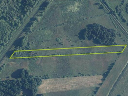 Działka rolna Stary Orzechów gm. Sosnowica