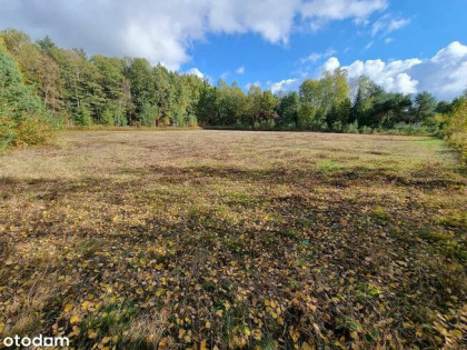 Duża działka budowlana przy lesie z WZ, woda, prąd