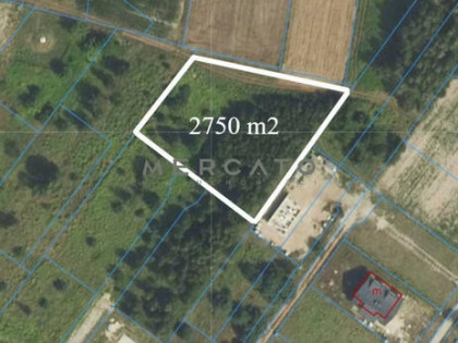 Działka budowlana Feliksów gm. Leszno,