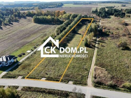 Działka Siedlce 1ha, możliwość podziału gm Chęciny