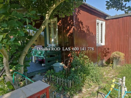 Domek ROD Las Cieślewskich