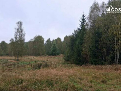 Działka rolno-budowlana Zadry gm. Miastko