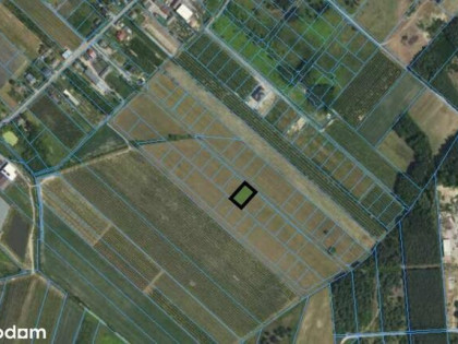 Działka budowlana z MPZP, blisko Słomczyna, Grójca, DK50