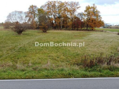 Działka budowlana Borek gm. Rzezawa