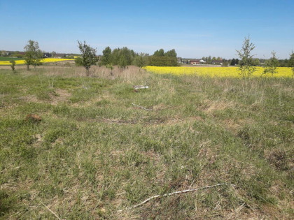 Działka w Gałkówku Kolonii przy Justynowie, blisko Łodzi