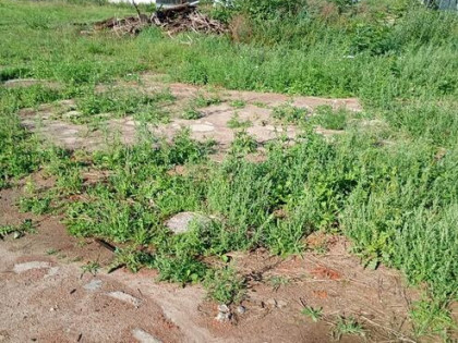 Dom ,Hala Warsztat samochodowy