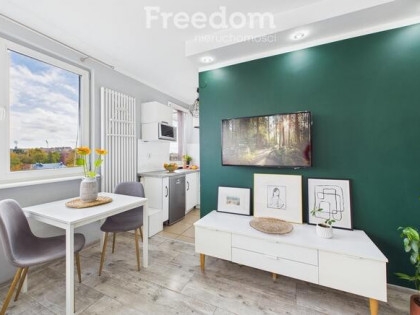 Przytulna kawalerka z widokiem na park.