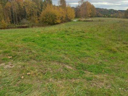 Działka budowlana 36 ar, Tuchów Okazyjna cena !