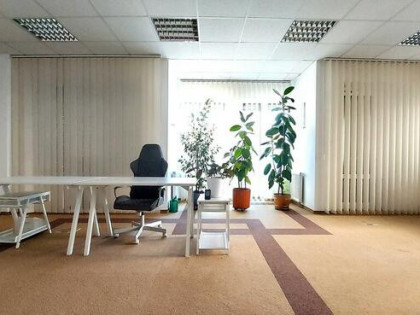 Jasny lokal biurowy w centrum miasta do wynajęcia