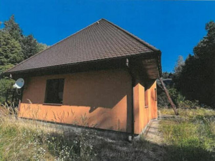 Syndyk sprzeda udział 1/2 w domu w Jamnicy