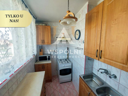 Mieszkanie Gniew, Kopernika