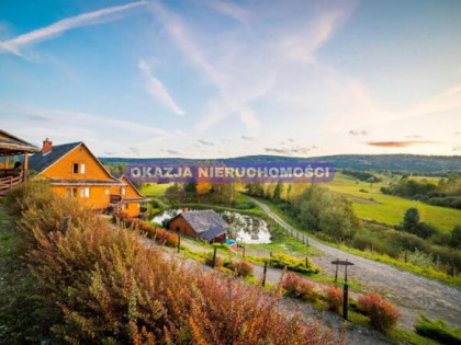 Lokal użytkowy Równia gm. Ustrzyki Dolne,