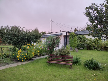 Działka ROD z domkiem 2025 – Aleksandrów Kujawski