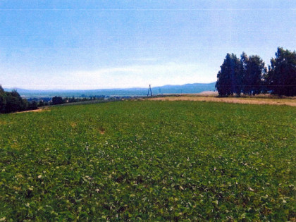 Działka, 5 700 m², Jurków