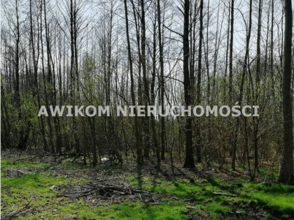 Działka budowlana Jaktorów Budy-Grzybek