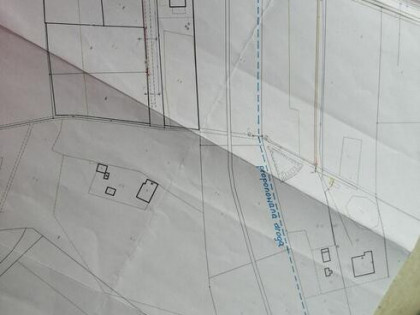 Sprzedam dziake Bieganów