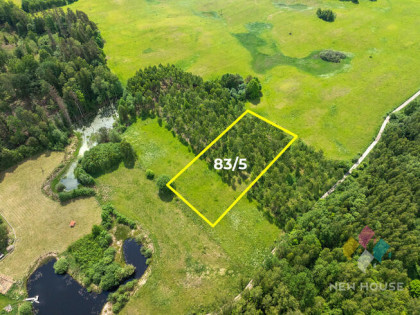 Działka w otoczeniu lasu, widok na staw