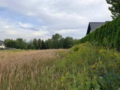 Sprzedam działkę budowlano rolną 30 ar w miejscowości Rączna