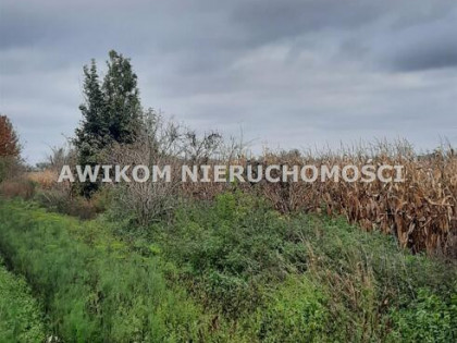 Działka siedliskowa Zazdrość gm. Radziejowice