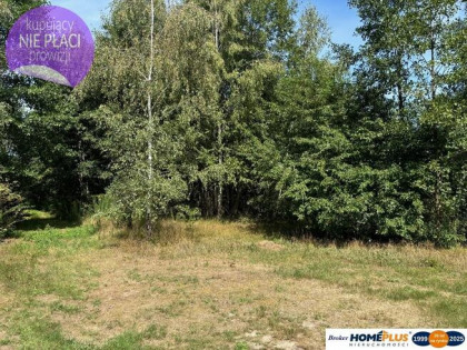 Duża, cicha działka w otulinie lasu - BEZ PROWIZJI
