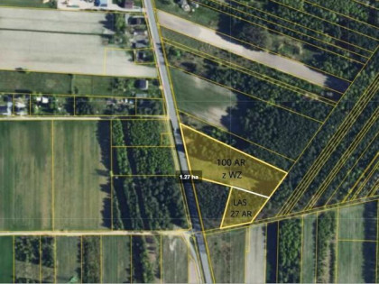 Działka budowlana / inwestycyjna – Bełchatów