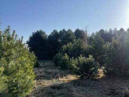 Działka o pow.6883 m² w zielonej okolicy.