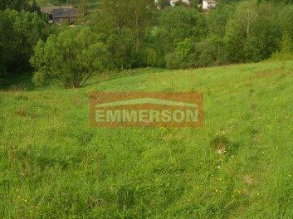 59 arów -działka rolna Golkowice