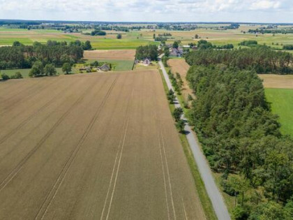 Działka budowlana Zborowskie gm. Ciasna, Dolna