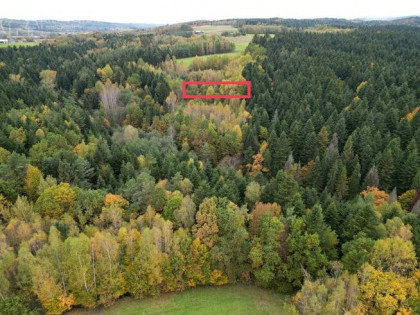 Działka rolna Strzeszyn gm. Biecz