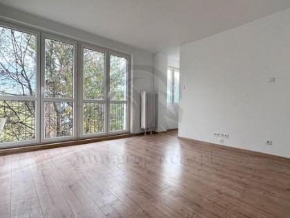 Tropem osobników w ich miejskim siedlisku