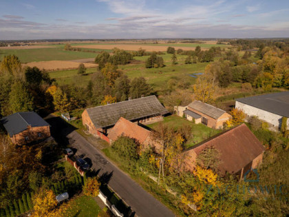 Działka rolna Dalborowice gm. Dziadowa Kłoda, Akacjowa