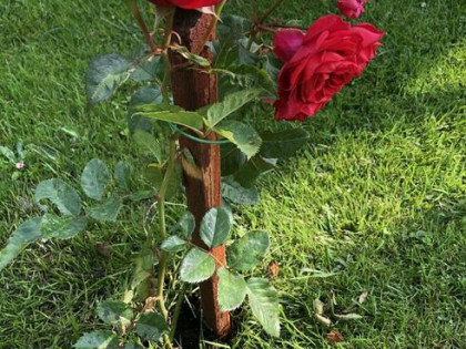 Działka Rod Wołomin Uroczysko