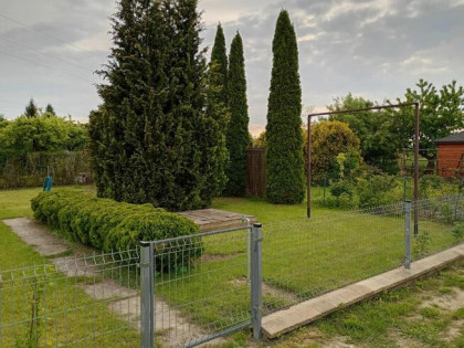 Ogródek działowy ROD Złote Piaski