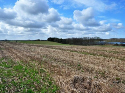 Działka rolna Stojkowo gm. Dygowo