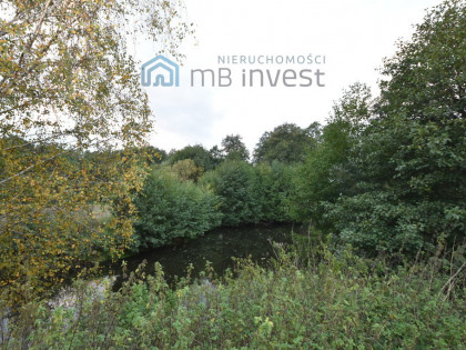 DZIAŁKA ZE STAWEM–OAZA CISZY I NATURY-ŻUŁAWKA