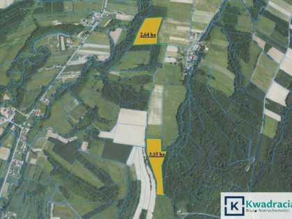 Działka leśna Wolica gm. Bukowsko,