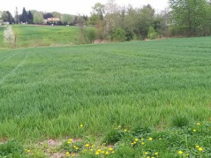 Działka budowlana 10,99 ar Błędowa Tyczyńska sprzedam