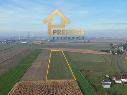 Na sprzedaż działka rolna 1,0969ha Ślesin