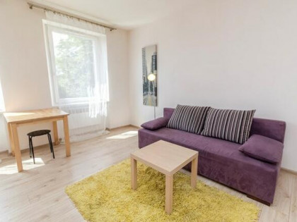 Wynajmę jasna kawalerkę, Pawła Chromika 19