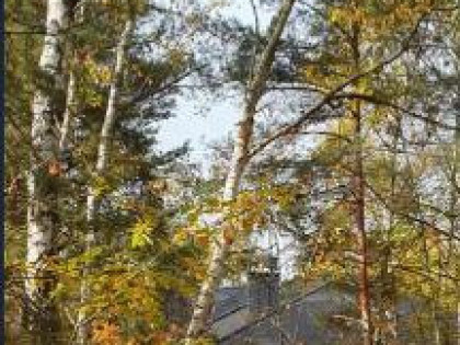 Działka budowlana Warszawa Wesoła, Zielona