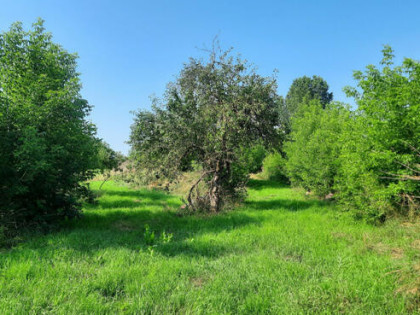 Działka budowlana Boguszewo gm. Mońki,