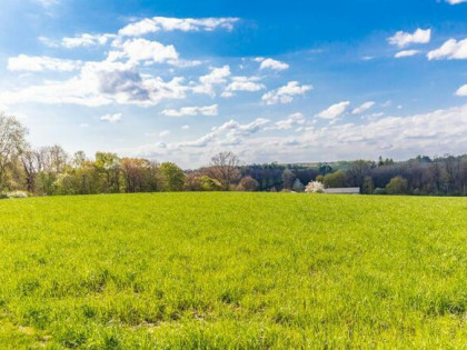 Działka budowlana Wojciechów-Kolonia Pierwsza gm. Wojciechów,